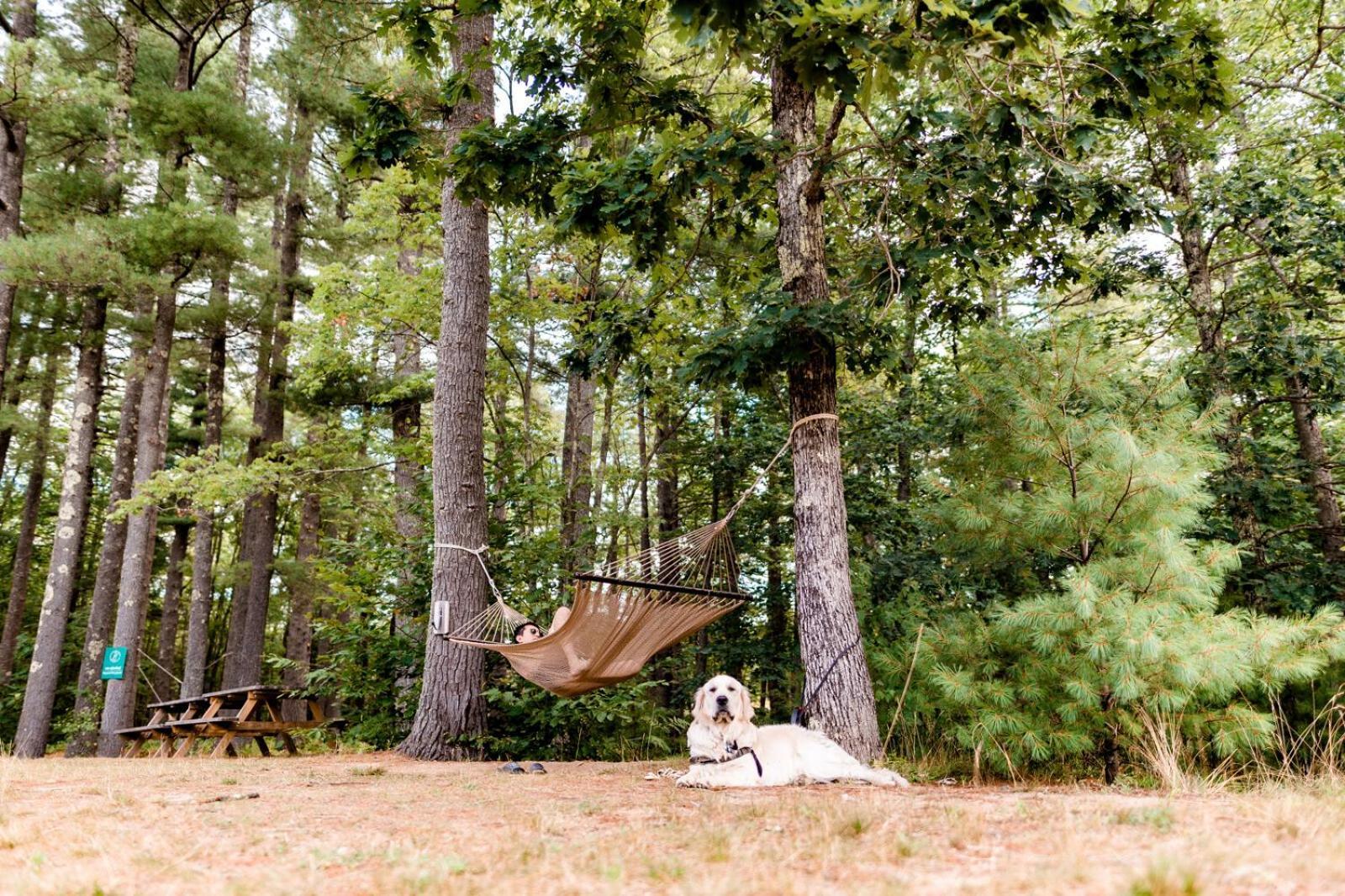 Huttopia Southern Maine Сэнфорд Экстерьер фото